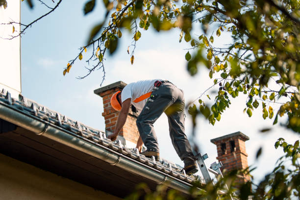 Best Residential Roofing Contractor  in Garden City, MI