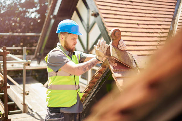 Best Storm Damage Roof Repair  in Garden City, MI