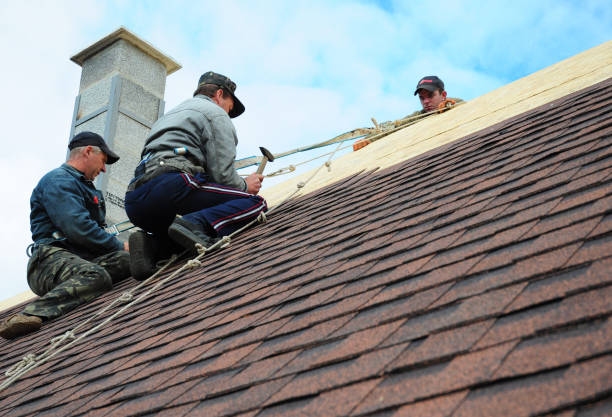 Best Shingle Roofing Installation  in Garden City, MI