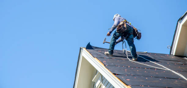 Best Metal Roofing Contractor  in Garden City, MI